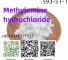 Factory Supply Methylamine Hydrochloride CAS 593-51-1 with Safe Delivery