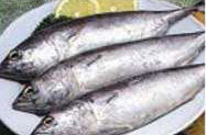 Tongkol - Fresh & Prepared Fish