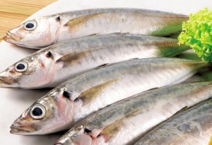 Ikan Sardin/Selayang - Fresh & Prepared Fish