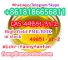 WhatsApp +8618186656811 CAS 49851-31-2 bromo-1-phhenyl-pentan-1-one