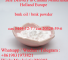 BMK Glycidate Acid powder Cas5449-12-7 Netherlands Safe Delivery