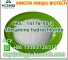 Tiletamine hydrochloride CAS：14176-50-2