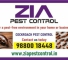 Top Cockroach Pest Control | Garden pest control | Ant | Lizard | 4029