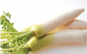 Lobak Putih - Vegetables