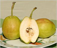 China Fragrant Pear - Fruits