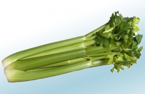 Celery / Daun Salari - Vegetables